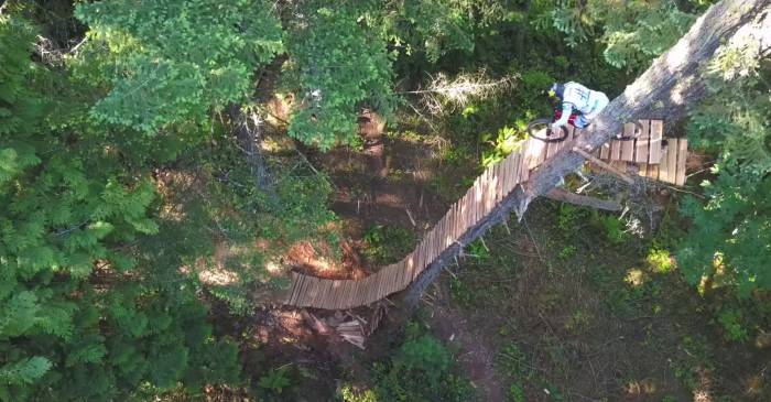 MTB Badass Jordie Lunn ‘Rides Down Tree’ in Bonkers MTB Edit