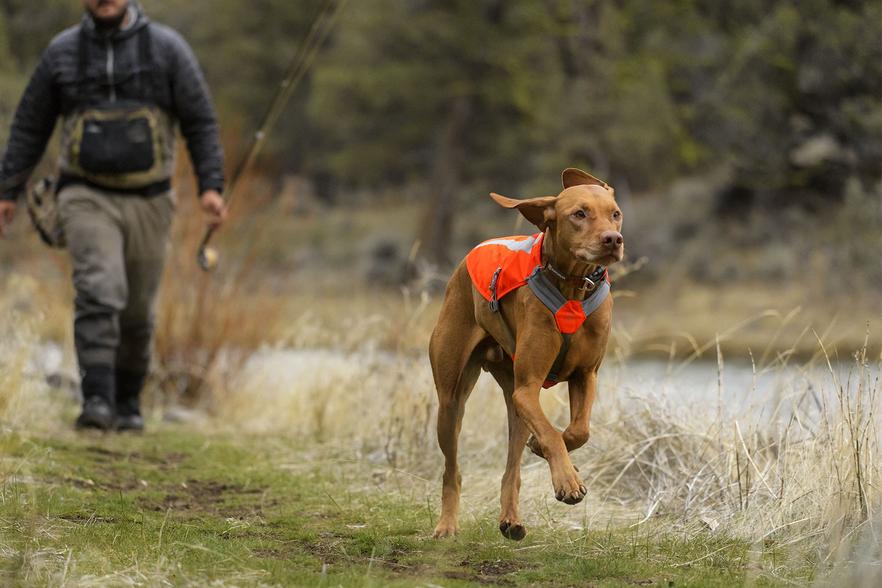 Ruffwear Cyber Monday sale Ruffwear Cyber Monday sale