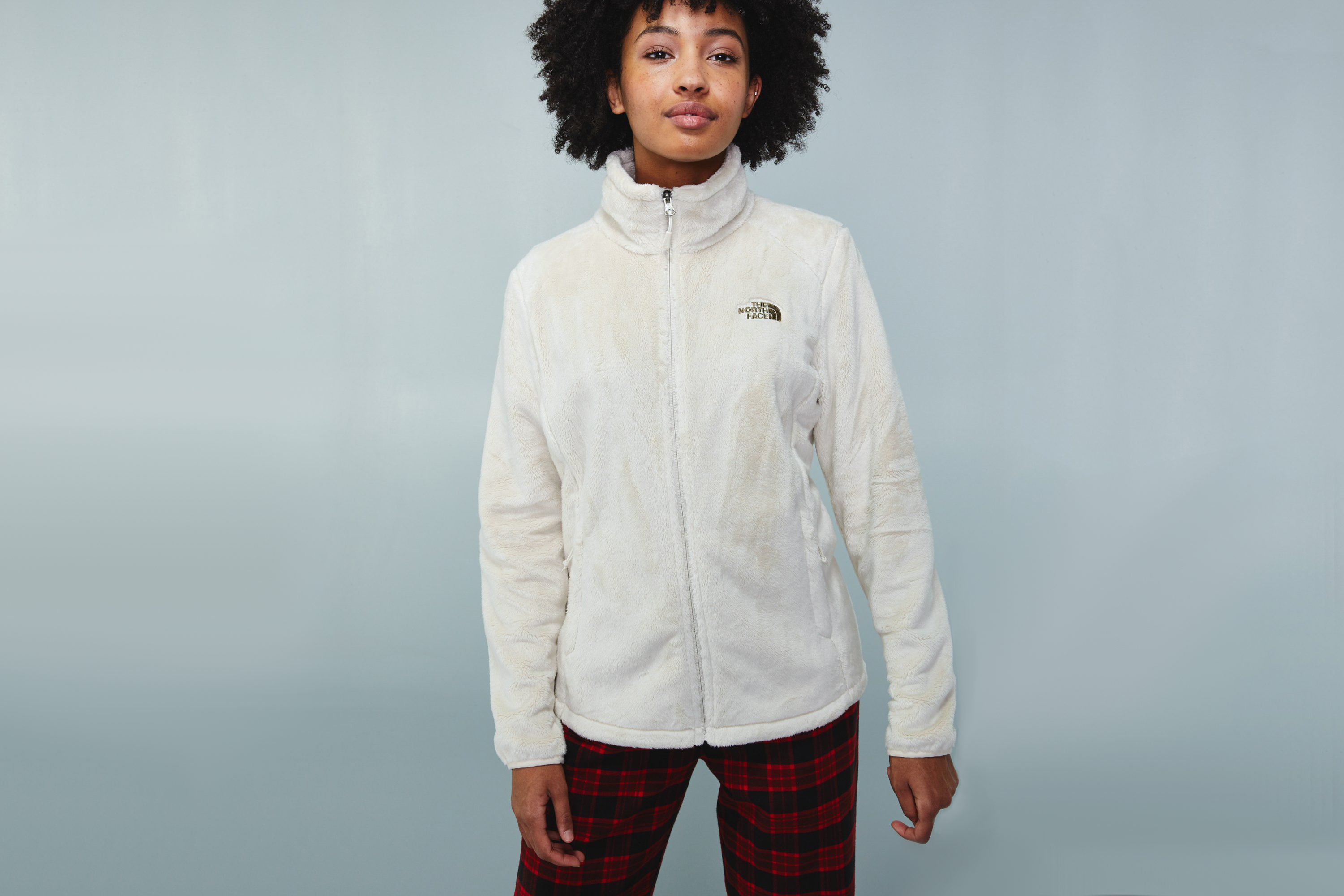 the north face fleece 