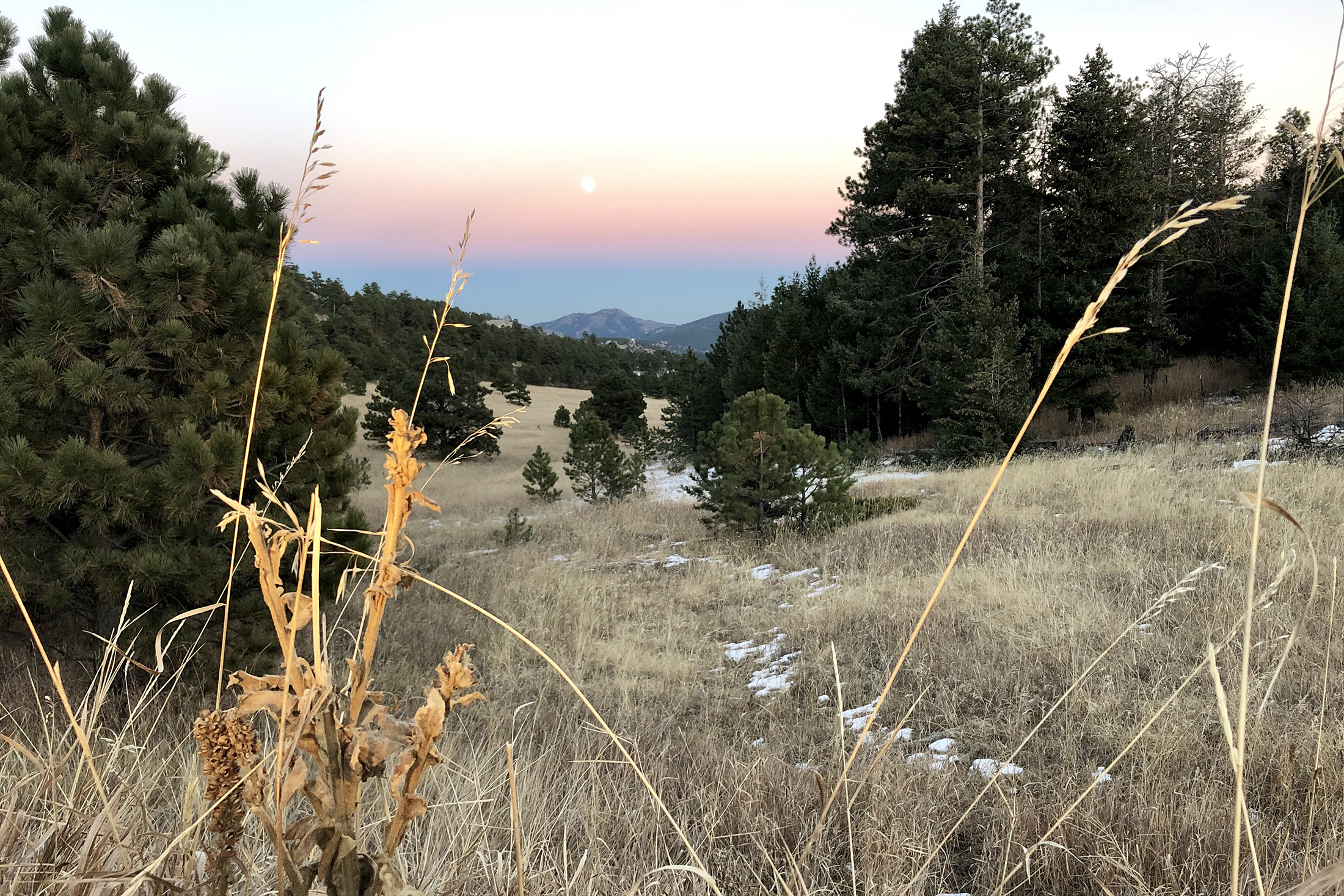 Evergreen trailheard crime