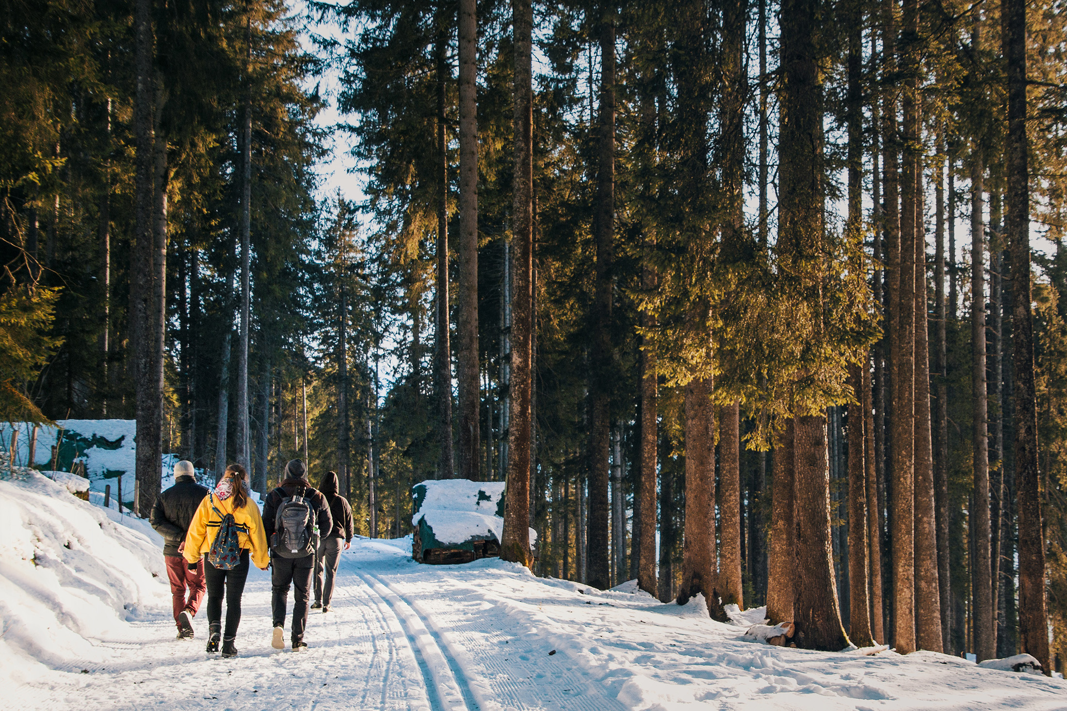 High-Sierra-winter-hike High-Sierra-winter-hike