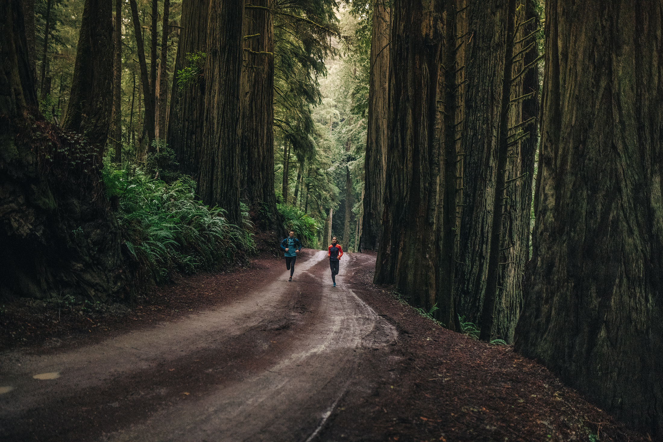 How-Bodies-Get-Cold-replacement How-Bodies-Get-Cold-replacement