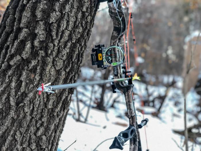 Bear Archery Divergent Compound: 2019’s Big-Performance, Low-Price Bow
