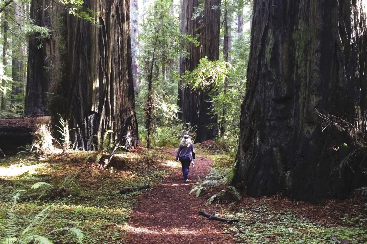 Living-the-RV-Life-PG-166 Living-the-RV-Life-PG-166