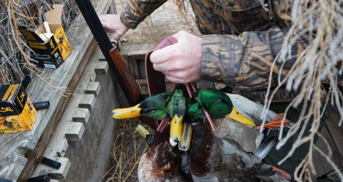 Hook & Bullet Bargains: Rangefinder, Knife Set, and More