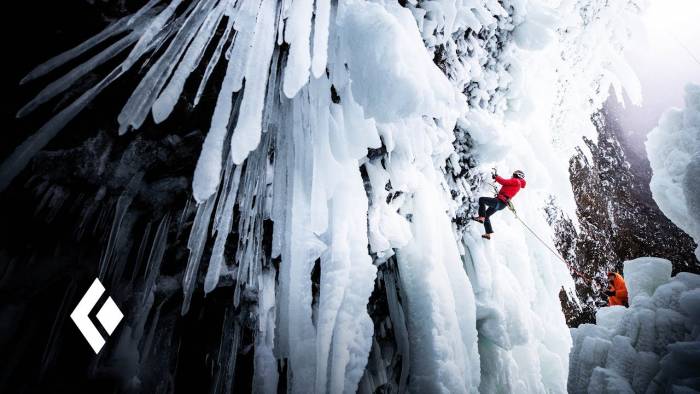 helmcken falls will gadd