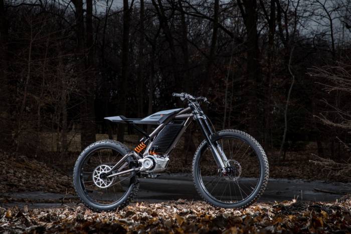 Pegs, Not Pedals: Harley-Davidson Shows New Electric Concepts