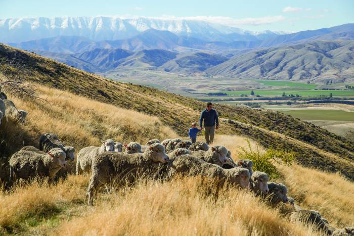 Icebreaker base layer