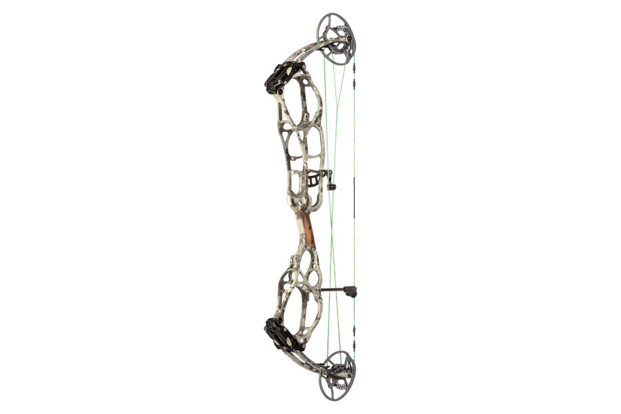 Bear Perception Bear Perception