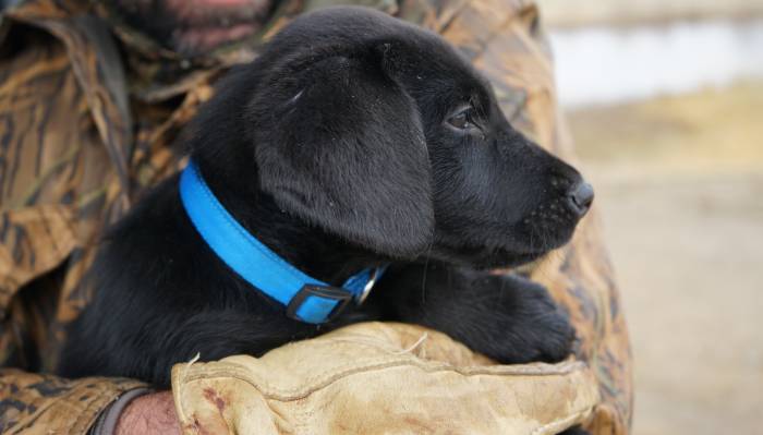 Unfailing Goods at Killer Prices: Our Picks From Filson’s Annual Winter Sale