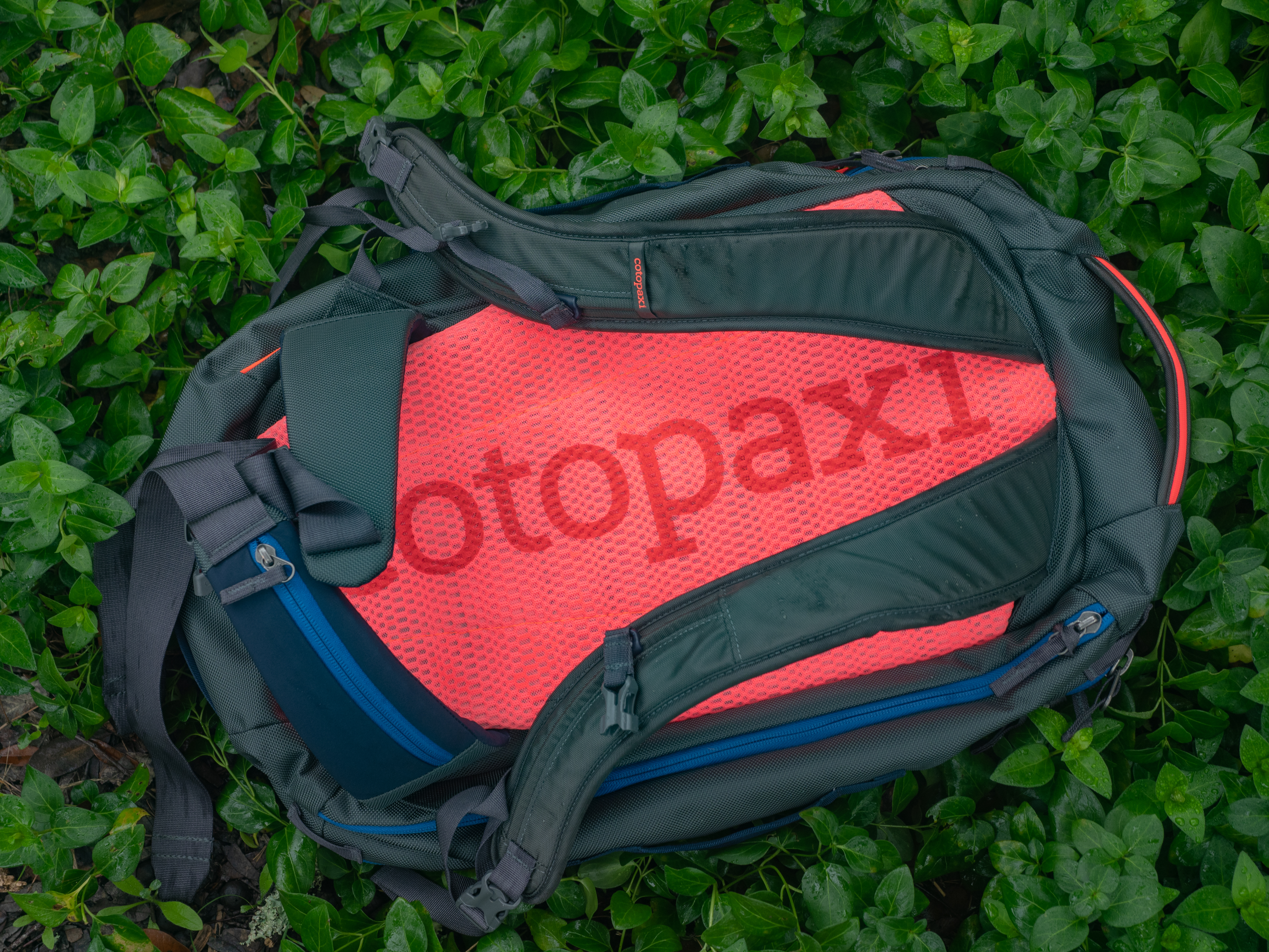 Cotopaxi Allpa 35L Pack backpack straps Cotopaxi Allpa 35L Pack backpack straps
