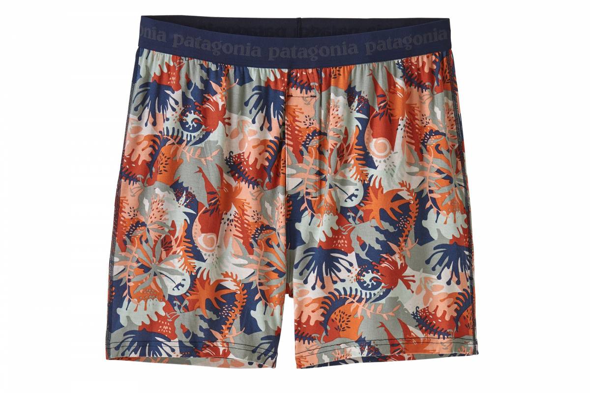 In a Nutshell Why You’ll Like Patagonia’s New Underwear GearJunkie