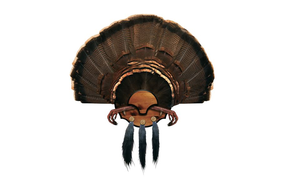 Mountain Mike's Beard Master