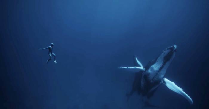 Guillaume Nery Freediving film