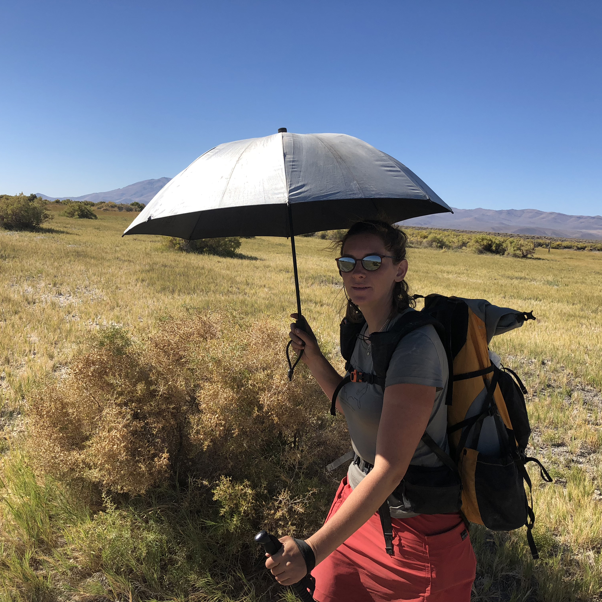 silver moon design umbrella