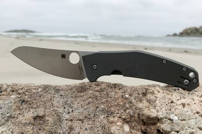 Spyderco Spydiechef Review: The Best Knife Of 2019