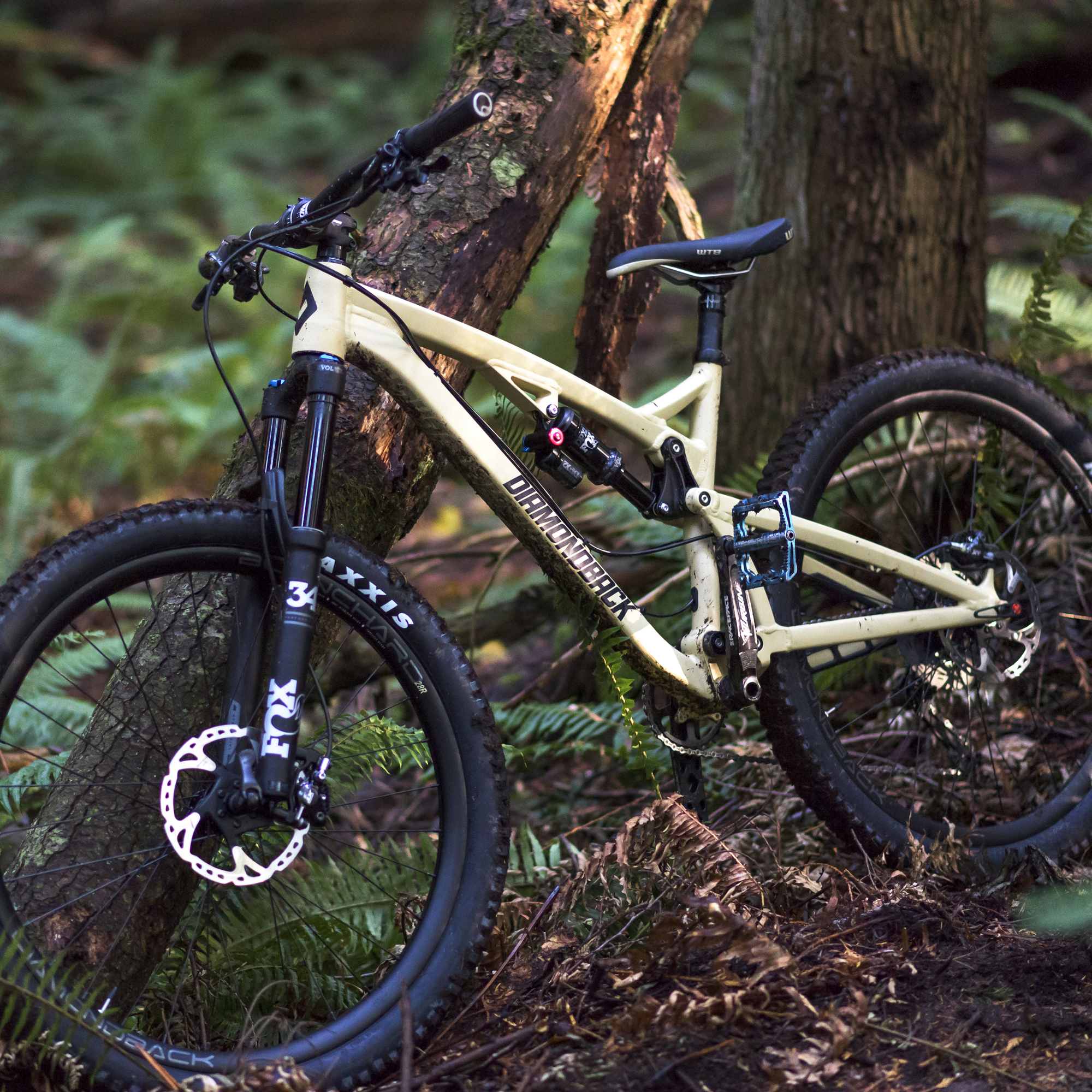 Diamondback Release 29