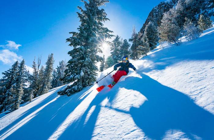 Awayco downhill skis