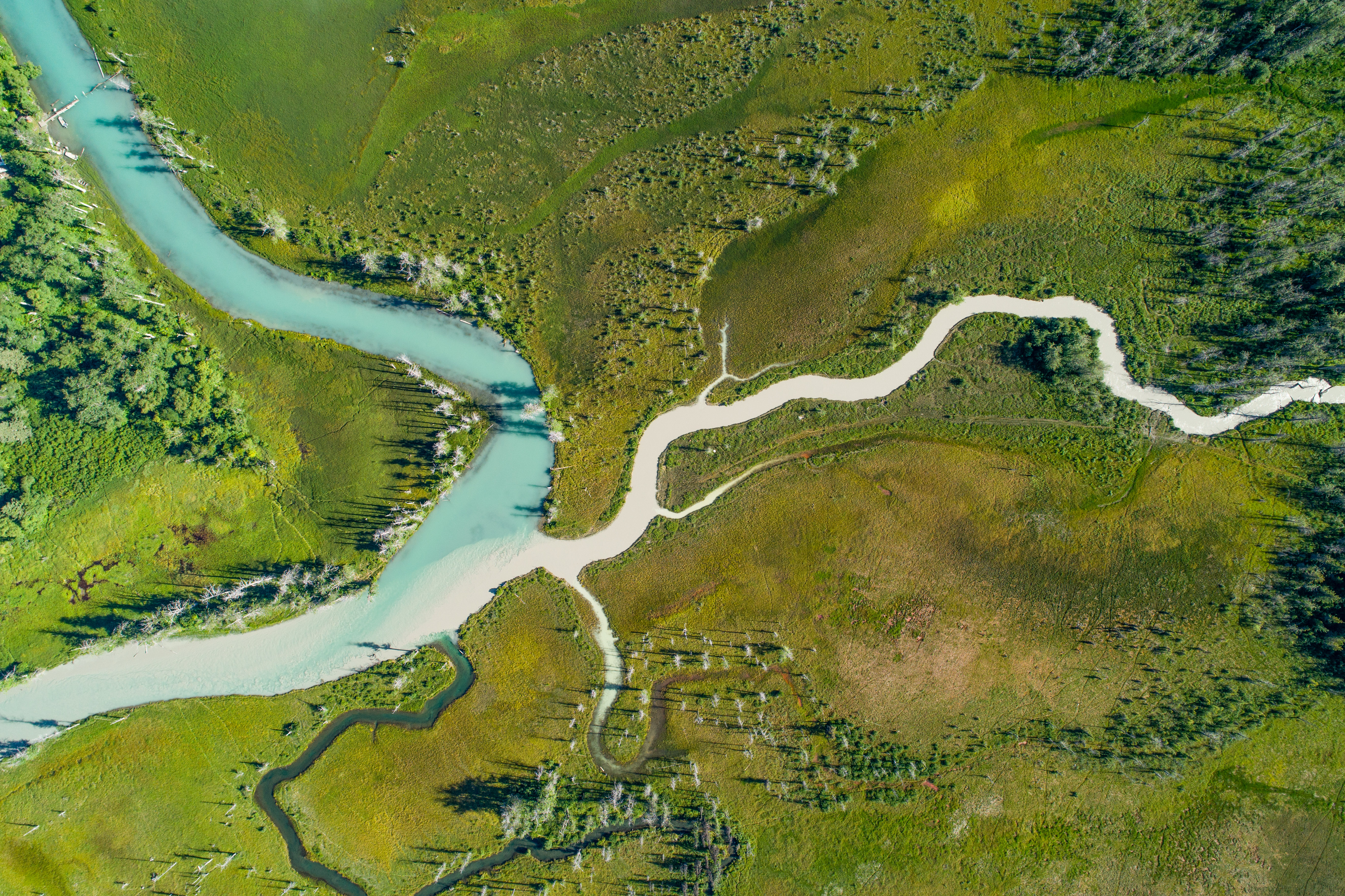 Salmon and Mining Clash in Small Alaskan Town: Film