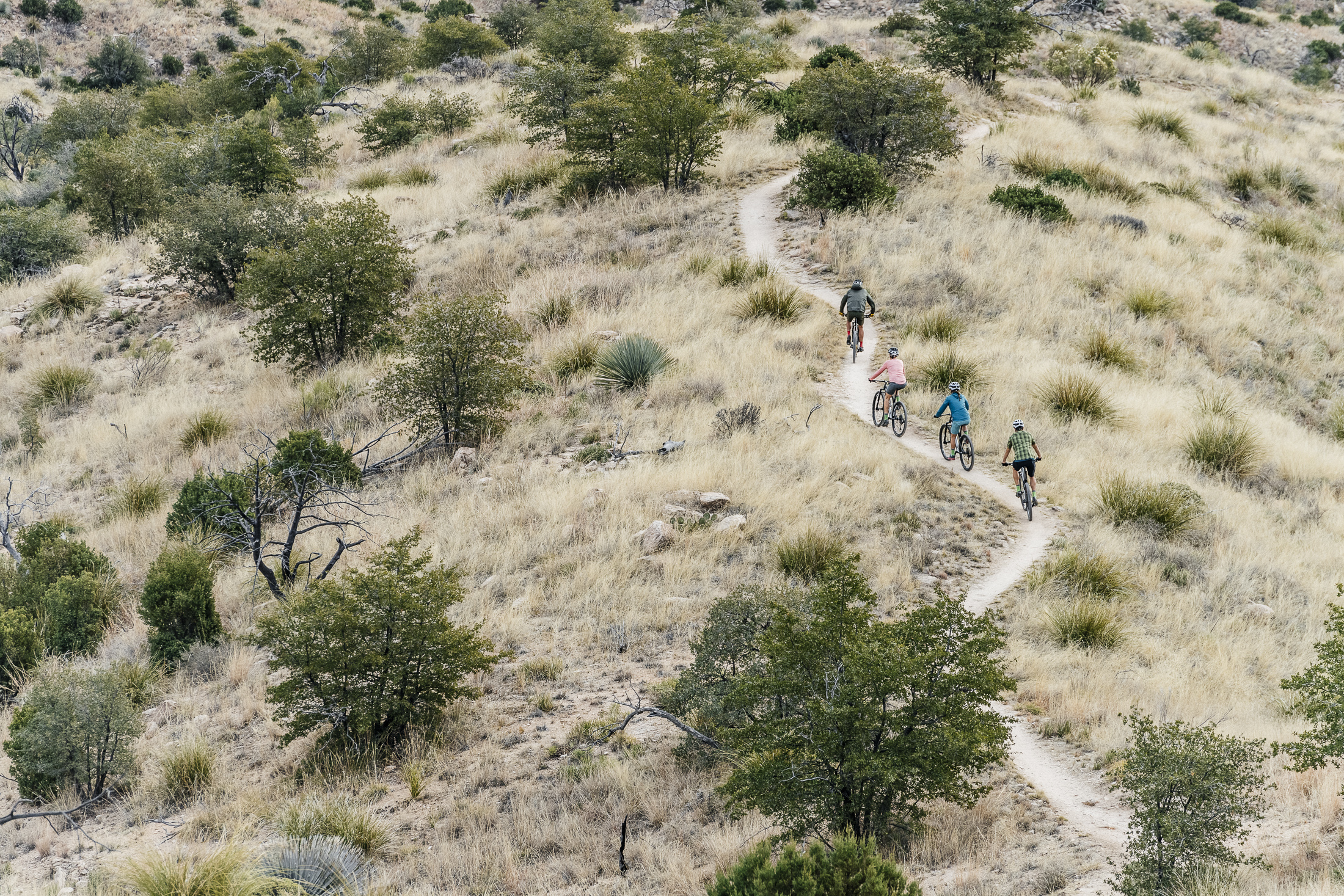 Four cyclists on a winding trail Four cyclists on a winding trail