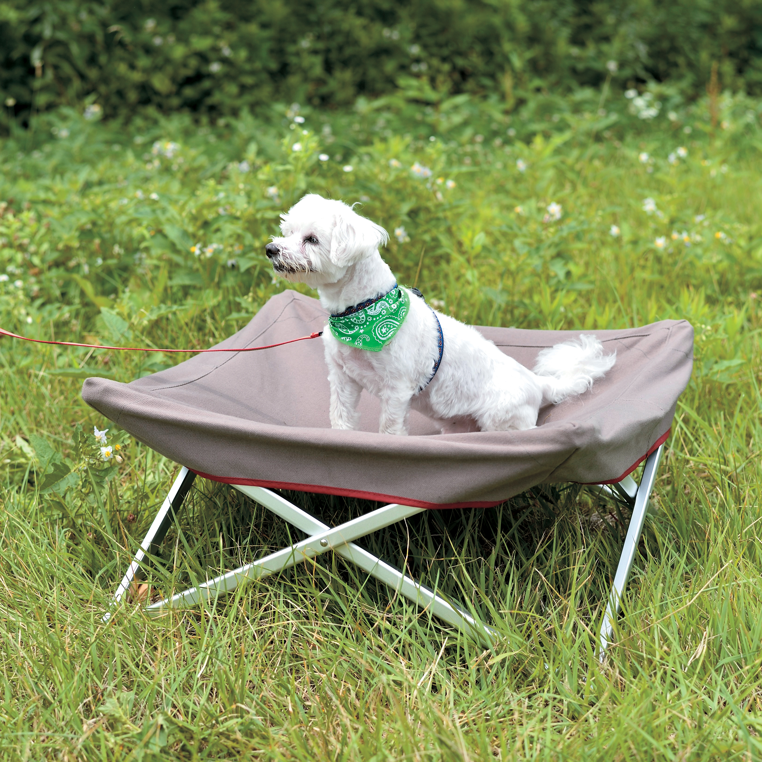 Snow Peak Dog Cot