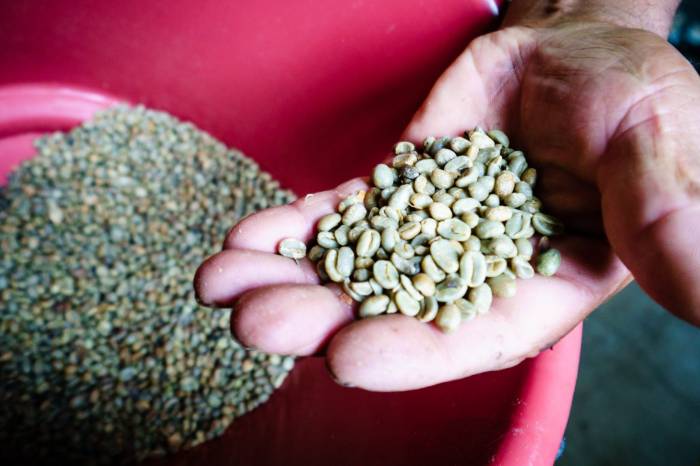 057marcgasch_xpdtn3colombia_190310__dsc2883_057-1600x1066 057marcgasch_xpdtn3colombia_190310__dsc2883_057-1600x1066