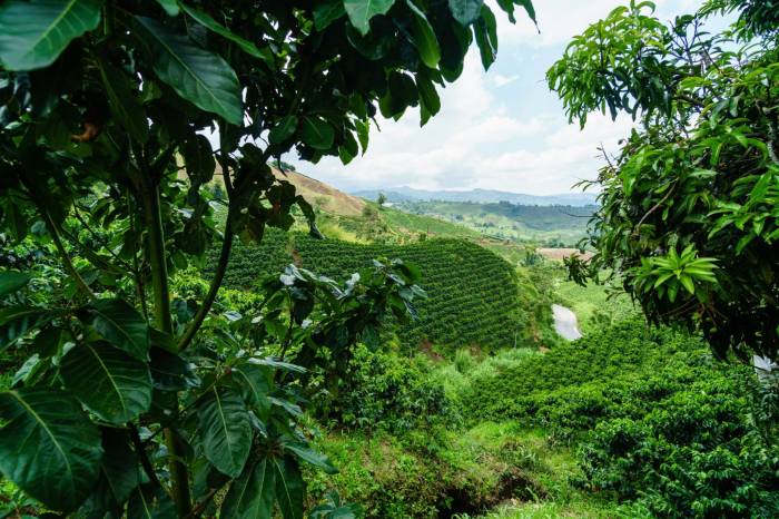 117marcgasch_xpdtn3colombia_190311__dsc3387_117-1600x1066 117marcgasch_xpdtn3colombia_190311__dsc3387_117-1600x1066