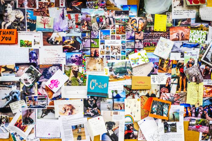 Chaco Marks 30 Years With Free Z/Sandals and Stories You’ve Never Heard