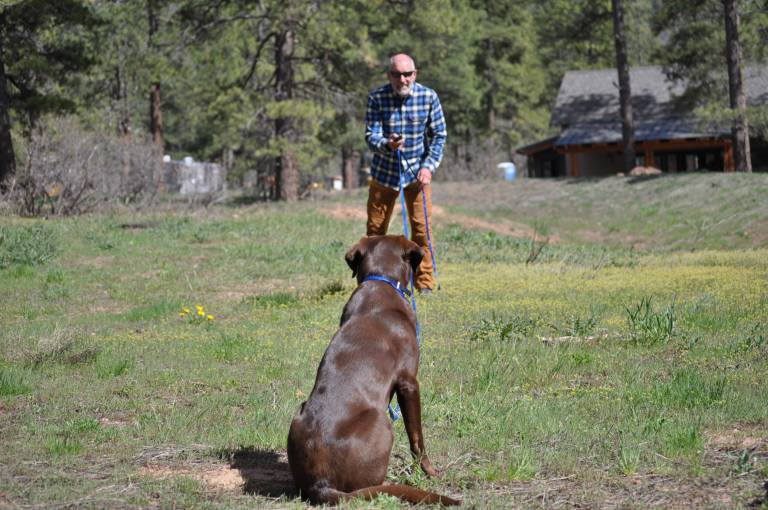 How and Why to Train Your Dog With an Electronic Collar GearJunkie