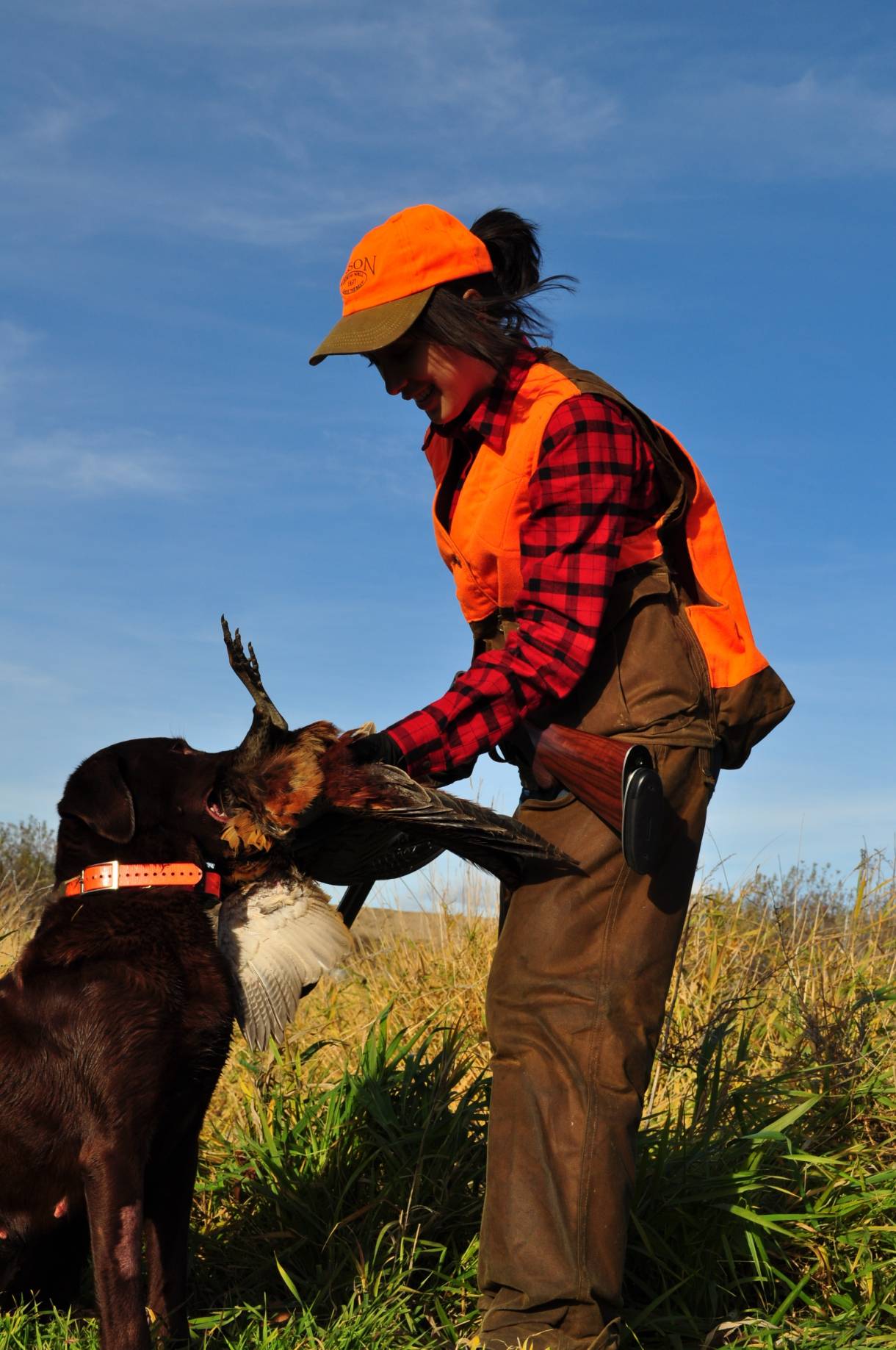 How and Why to Train Your Dog With an Electronic Collar GearJunkie