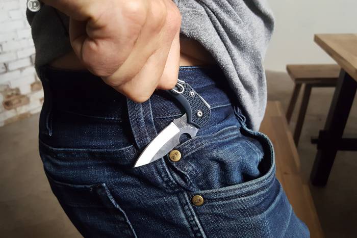 spyderco dragonfly 2