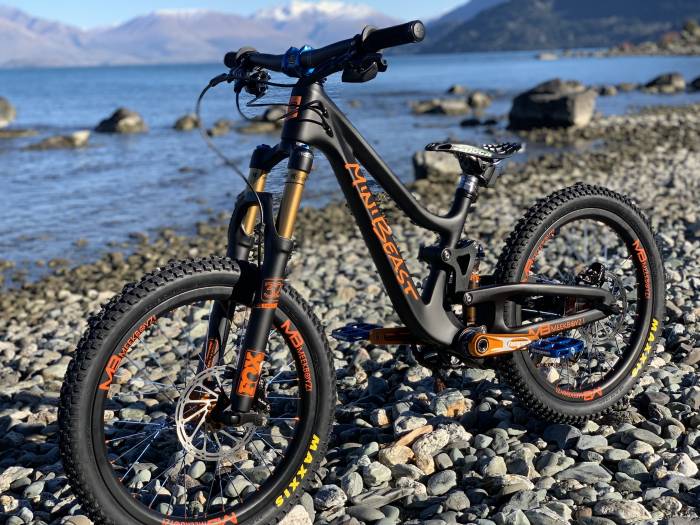 most expensive downhill mountain bike