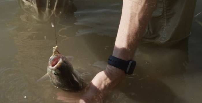 How to Handle a Fish Without Hurting It