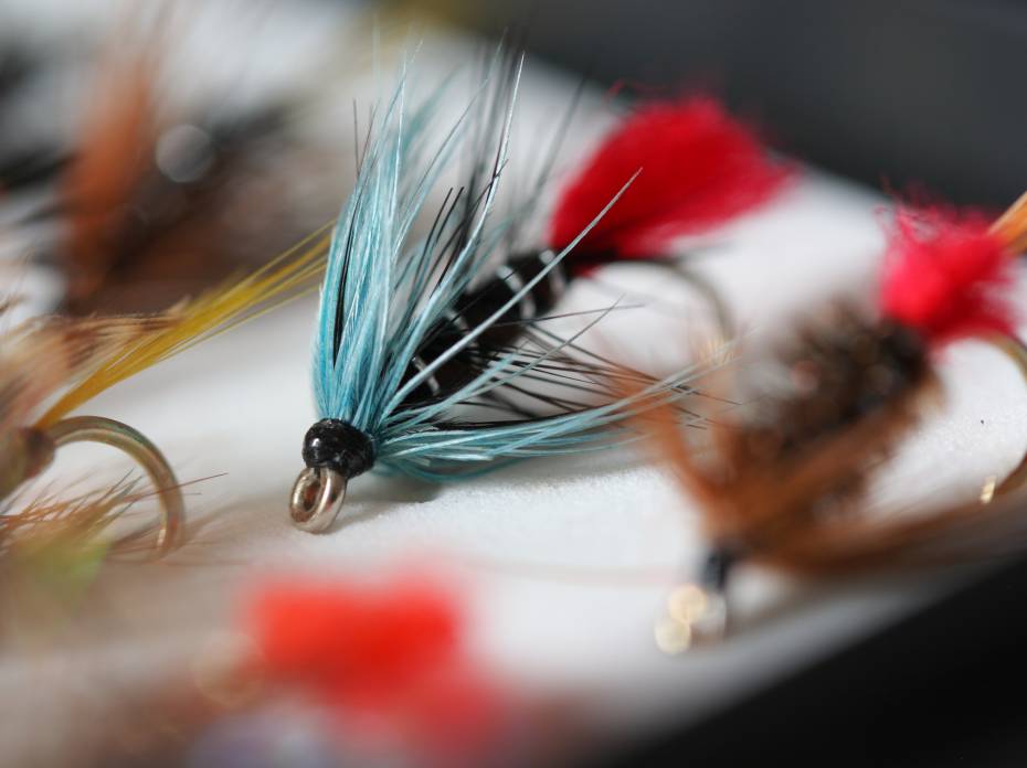 3 Fly Fishing Knots Every Angler Needs: Video Blue Zulu - Artificial fly used for trout fishing