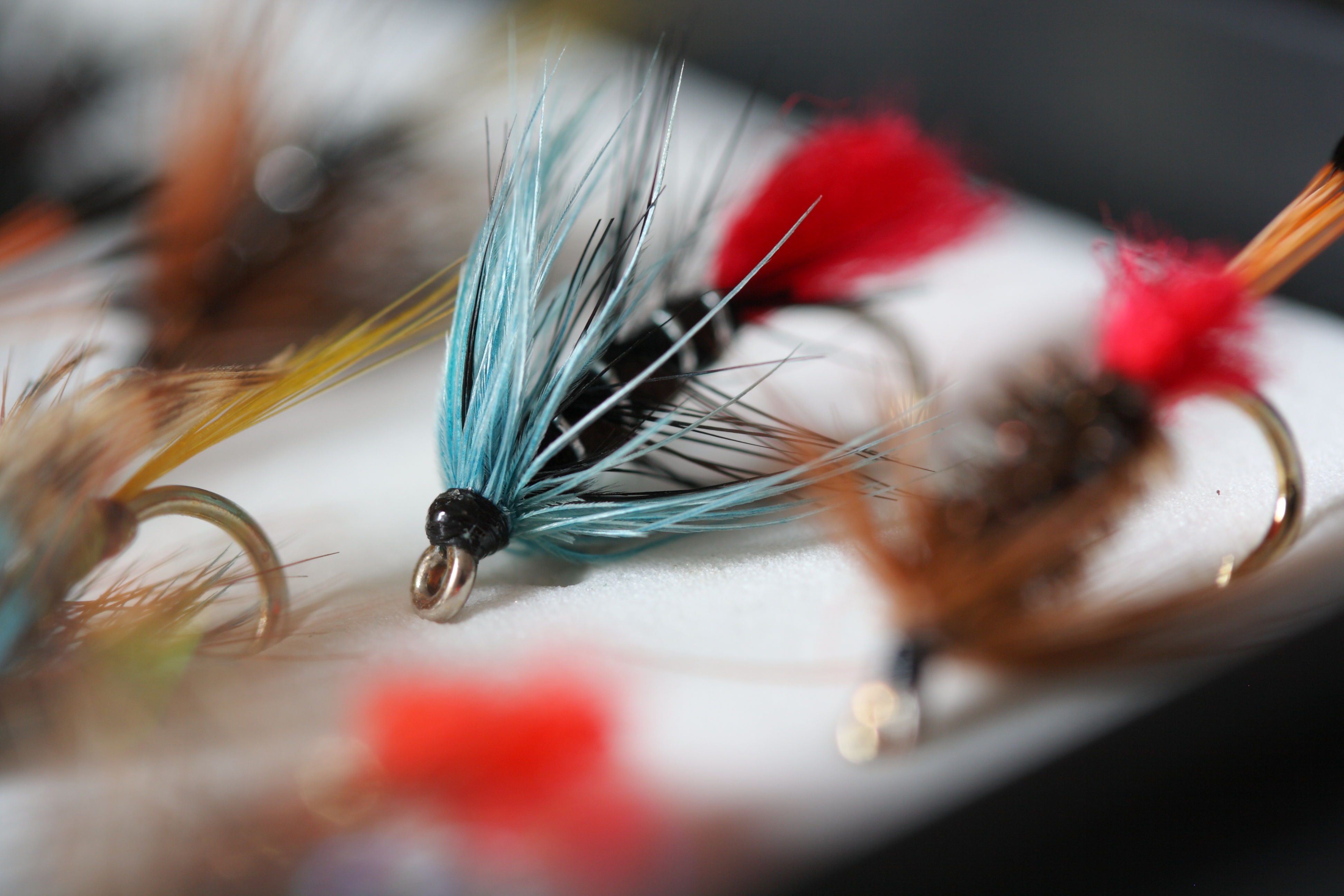Blue Zulu - Artificial fly used for trout fishing