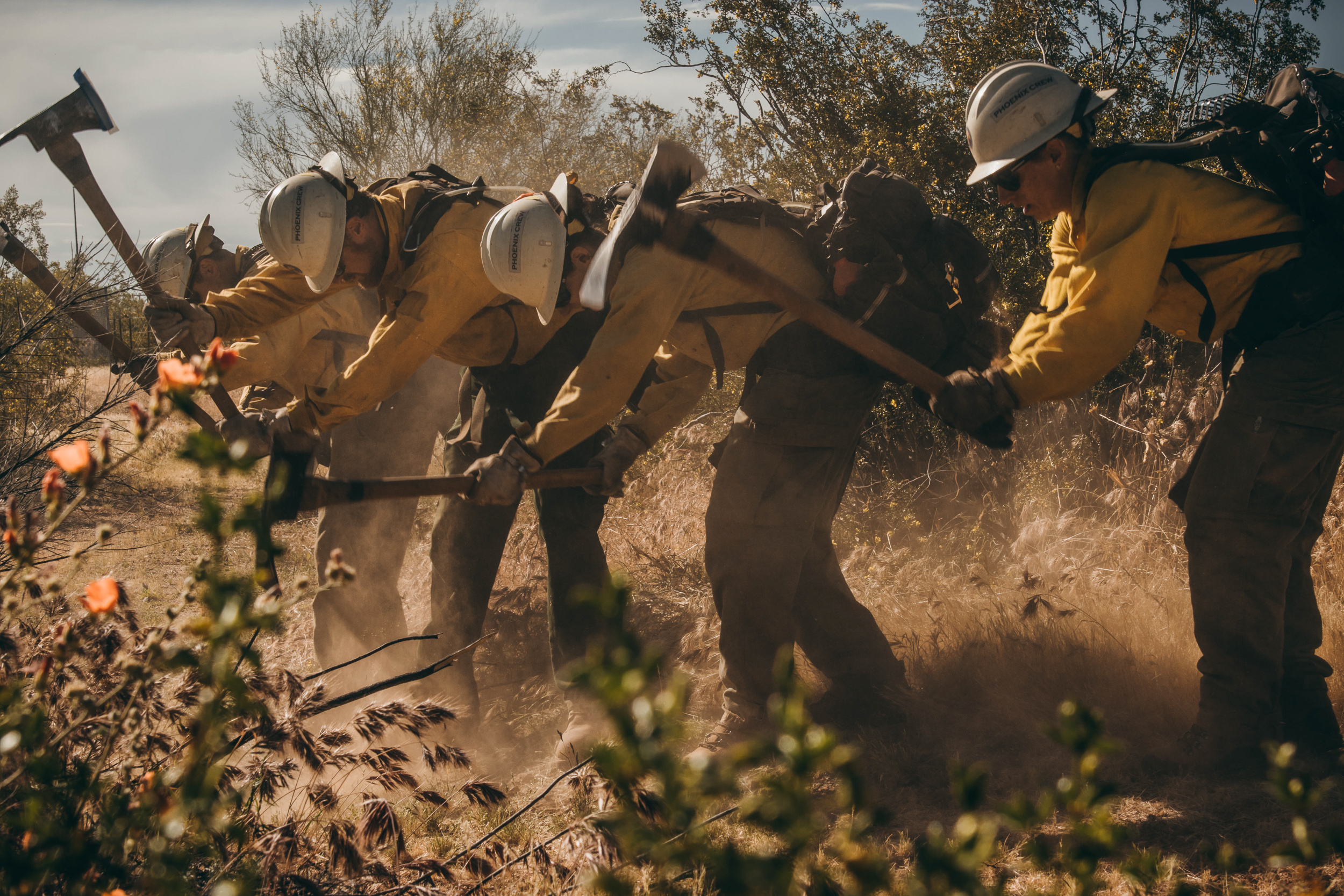 Protectors of the Forest: The Inmates of Phoenix Crew 1