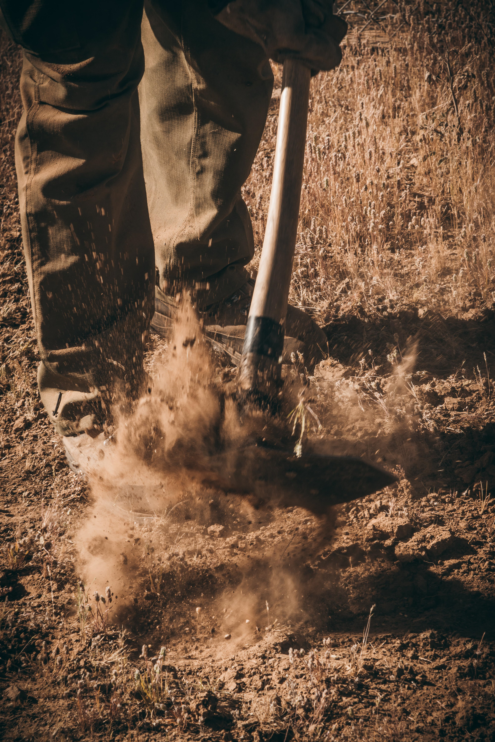 FILSON-USFS-SAMPLES-0357 FILSON-USFS-SAMPLES-0357