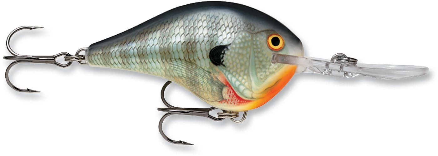 Rapala DT Series Crankbait