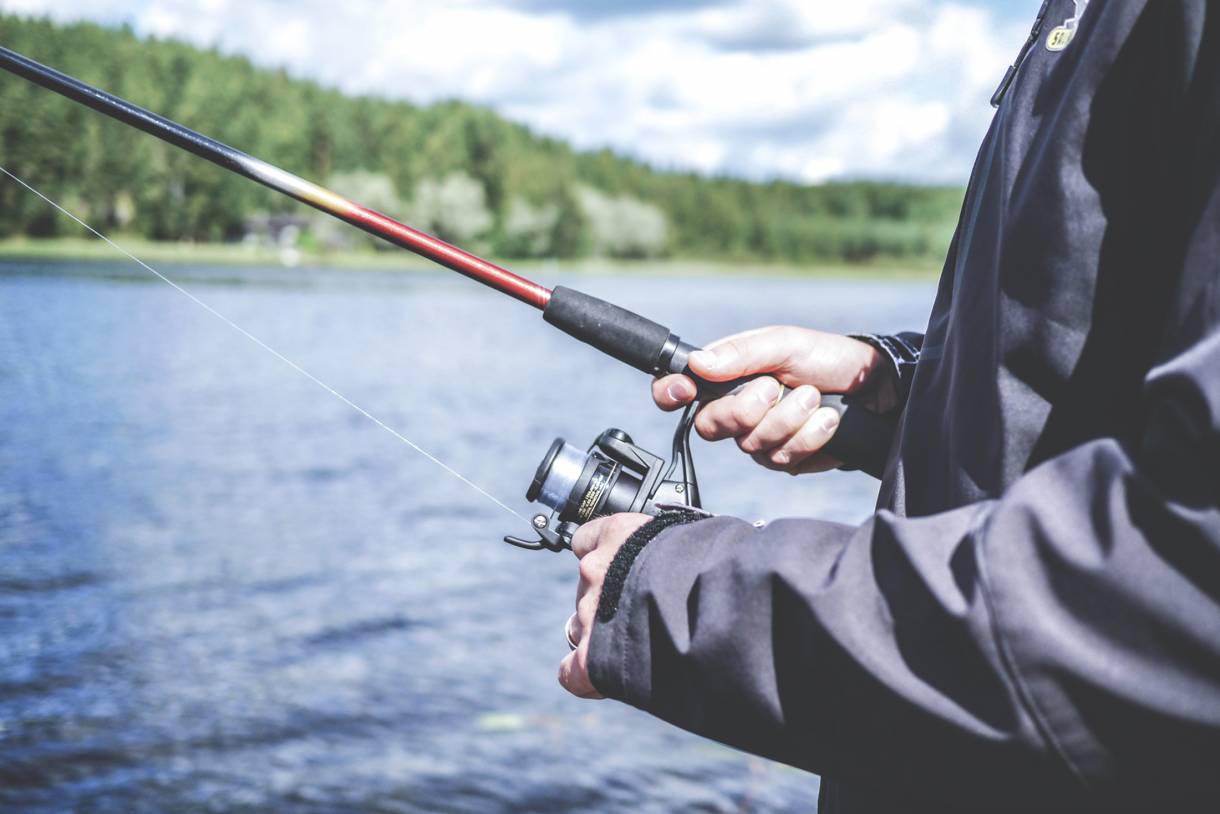 The Best Bass Baits for Fall GearJunkie