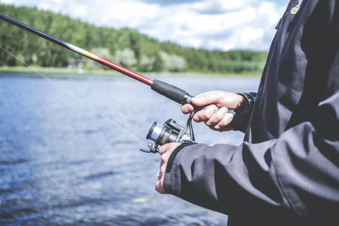 The Best Bass Baits for Fall