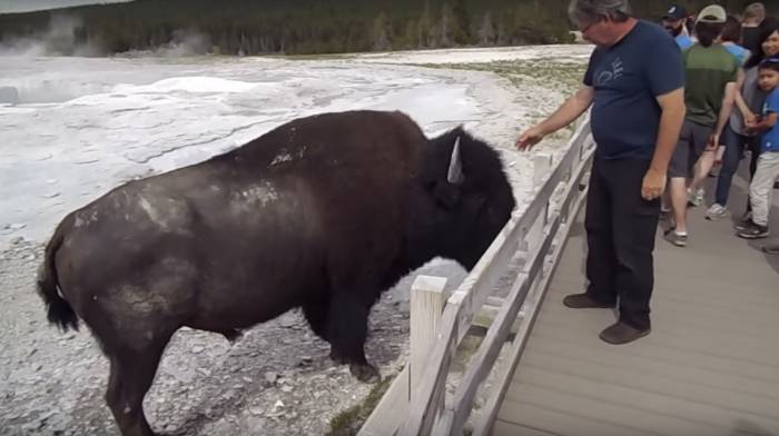 What About ’25 Yards’ Is So Hard to Understand?