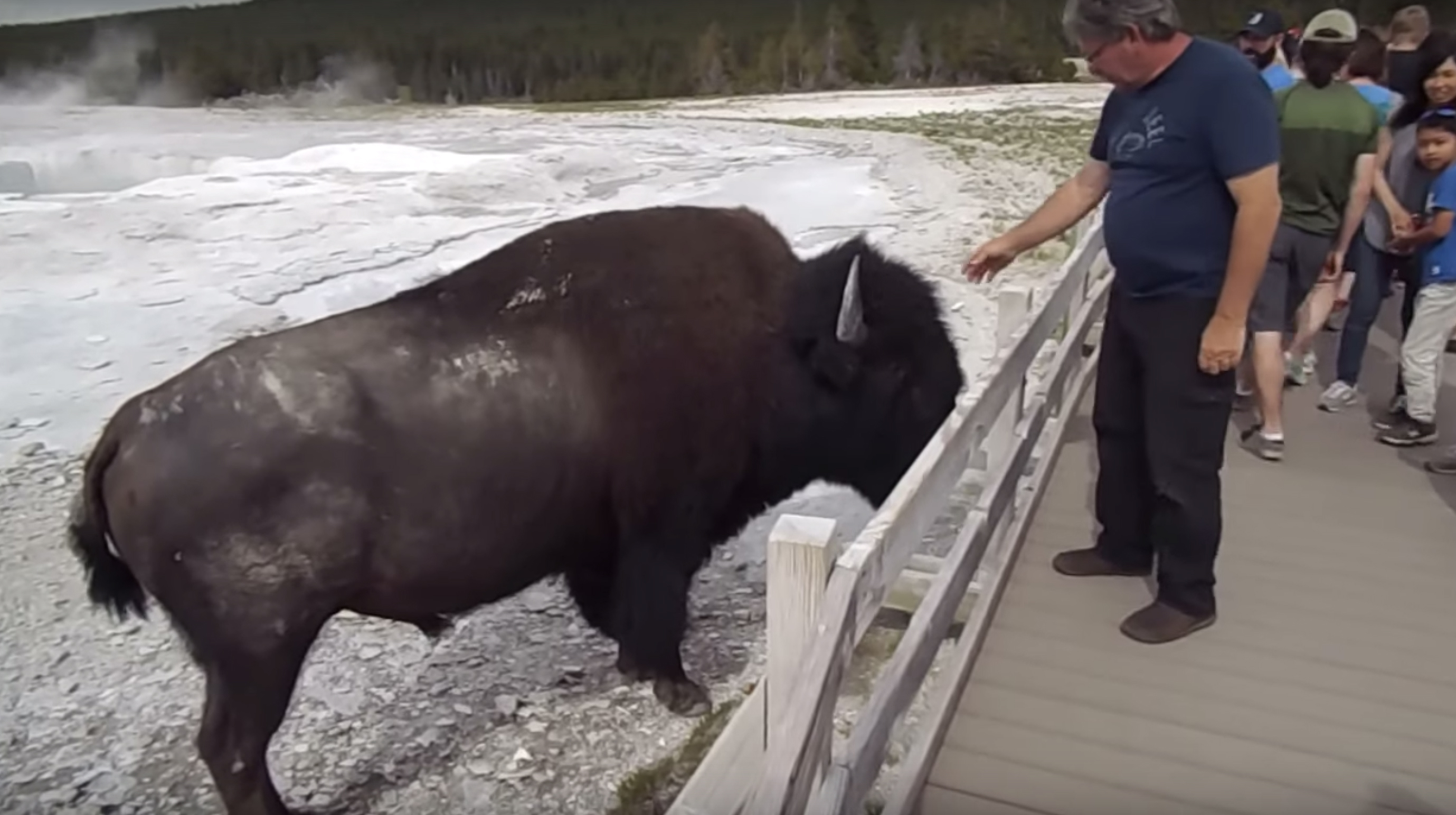 What About ’25 Yards’ Is So Hard to Understand?