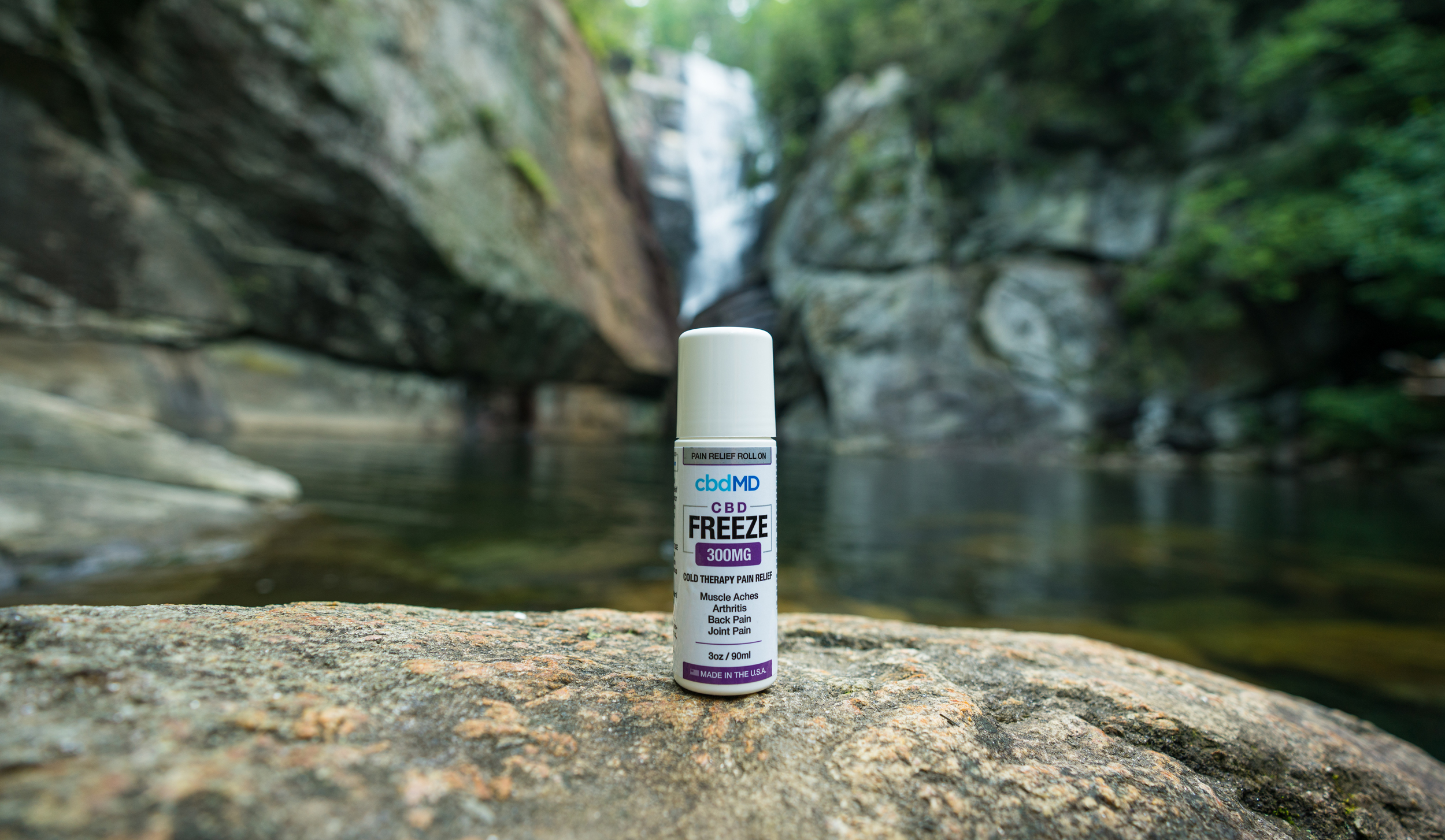 EDIT_Freeze2 EDIT_Freeze2