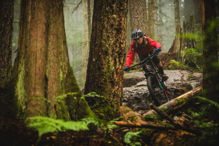 Kona Remote 160 E-bike