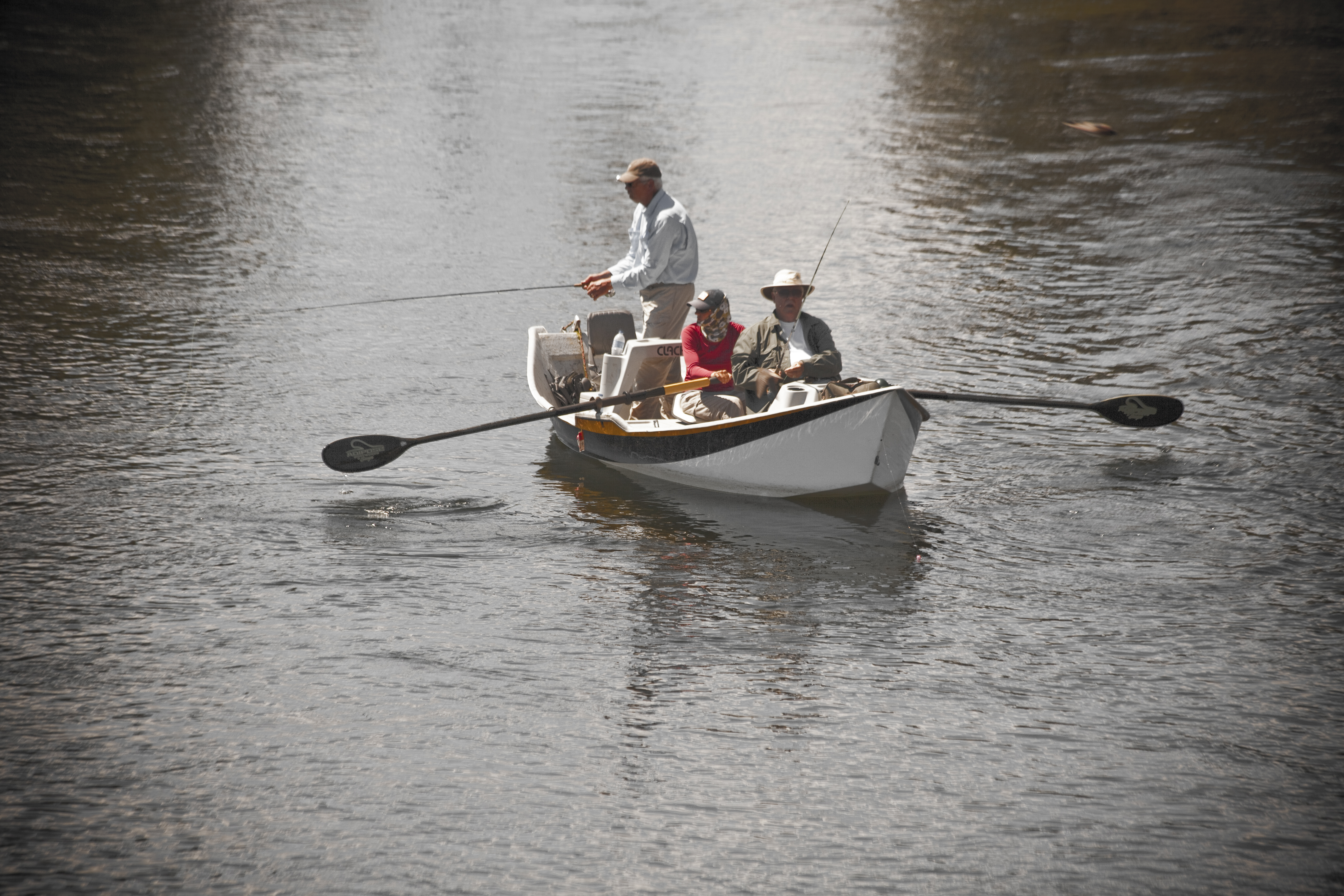 Photo: Jess Mcglothlin Photo: Jess Mcglothlin