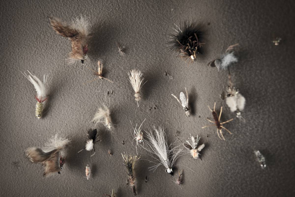 The 10 Best Fishing Songs for Your Playlist GearJunkie