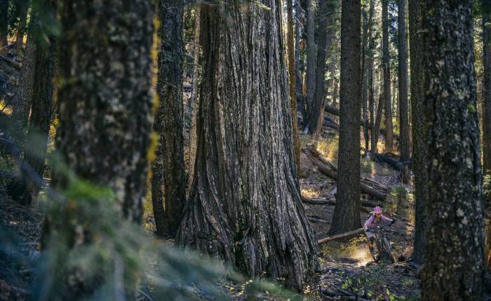 How Mountain Biking Saved a Dying Town