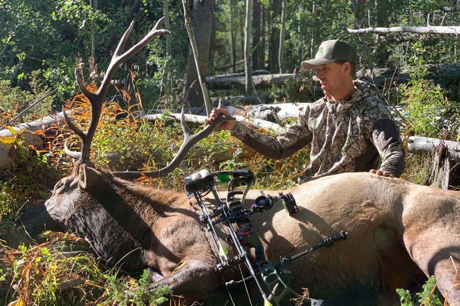 elk hunt