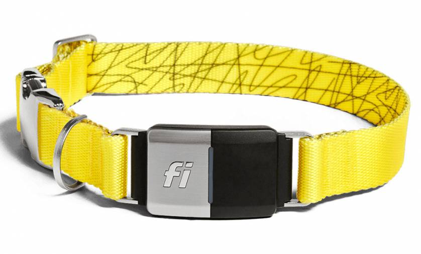Fi Dog Collar Review Find Your Pup With GPS GearJunkie