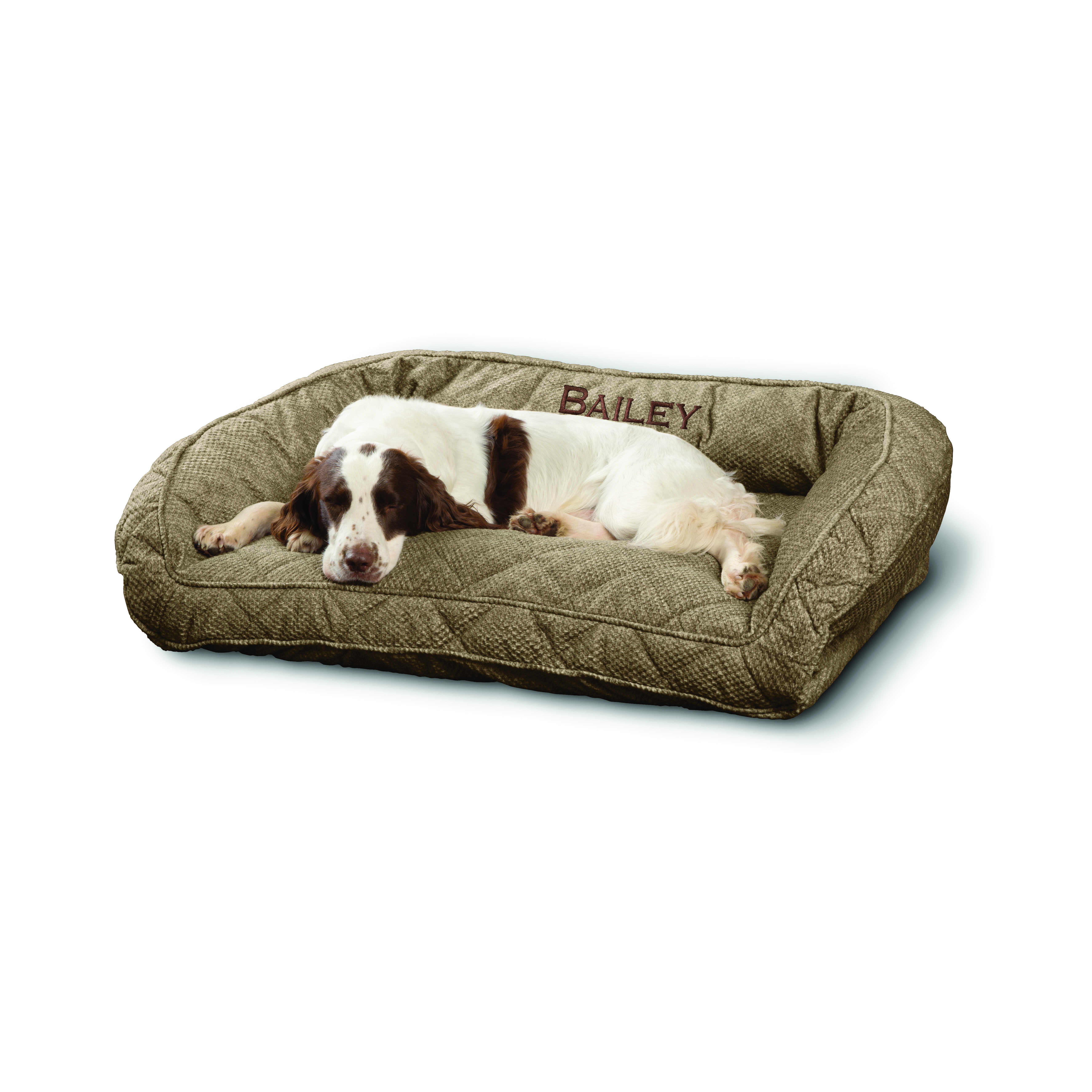 spaniel breed dog sleeping on Orvis Dog Bed